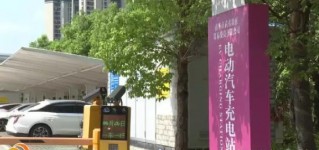 聚焦重点区域！武夷新区加速建设充电设施，护航绿色出行