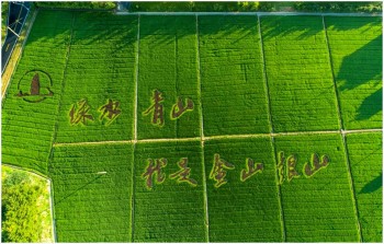 大美中国 天绿行动丨天能携手绿源开启碳路中国骑巡记
