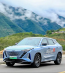 告别小而美，拥抱大而强？新能源大车的风口与暗礁